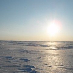 When I was in the Arctic